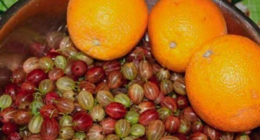 Top 15 receptů na výrobu angreštového džemu s pomeranči na zimu